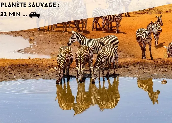 Appartement Le Joséphine